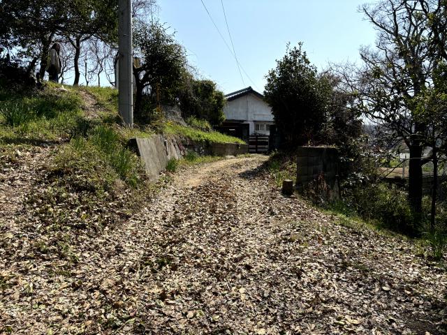 commercial さぬき市津田町鶴羽１５１４番地３