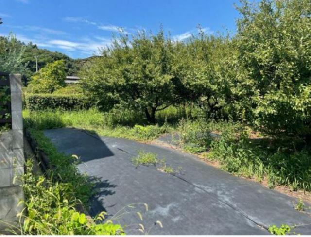detached 善通寺市吉原町