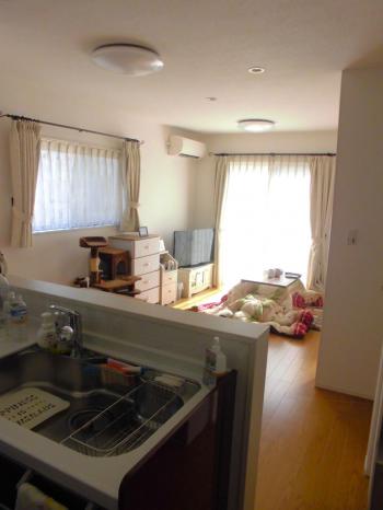  仲多度郡多度津町大字道福寺