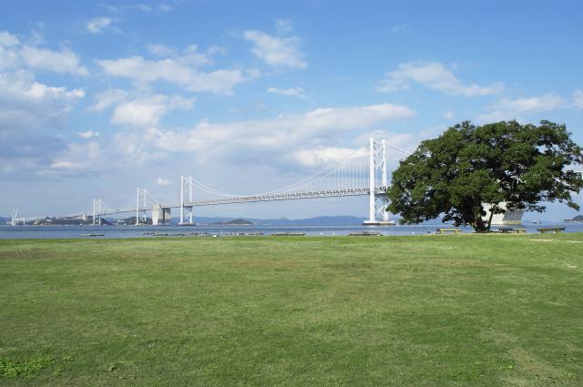 沙弥島から見た瀬戸大橋