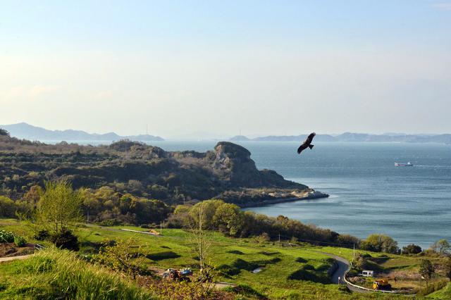 豊島（坂口）