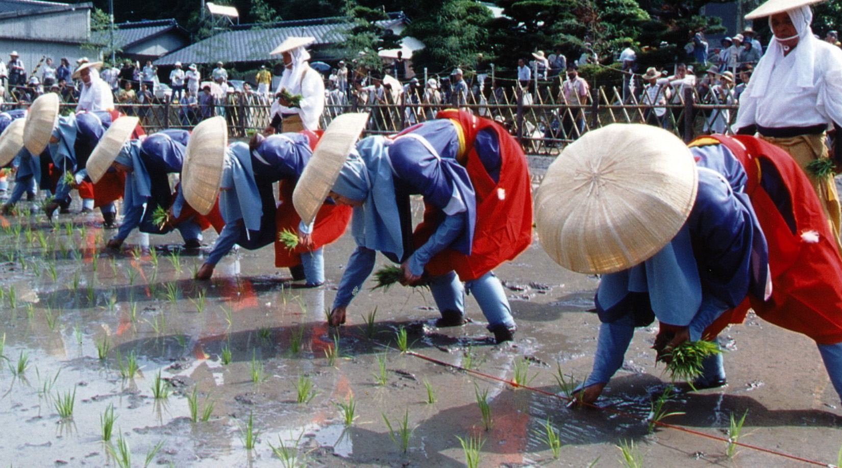 主基斉田お田植祭