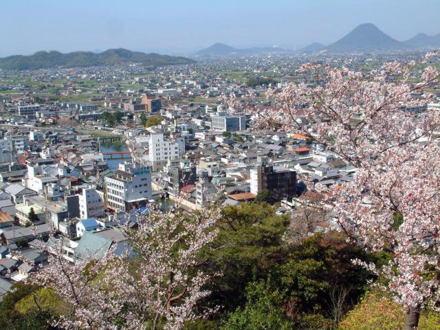 町の全景